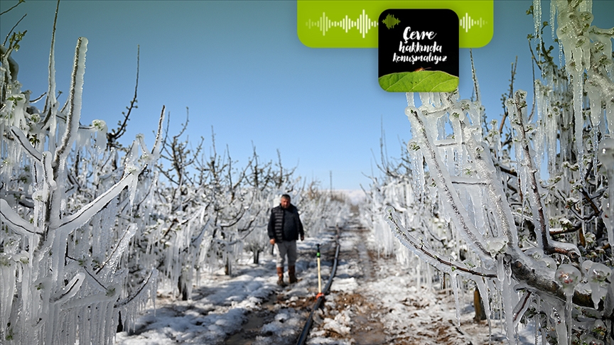 İklim krizi meyve üretimini nasıl etkiliyor?