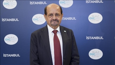 الولايات المتحدة تتطلع لتشكيل حكومة يمنية تضم نساء