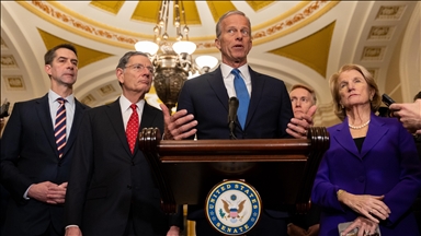 Top US Senate Democrat urges Republican leader to split funding bills amid Homeland Security dispute