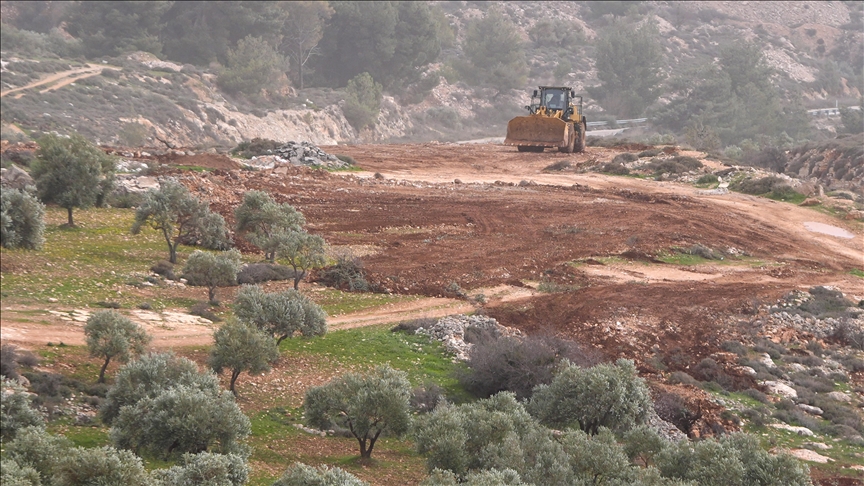"يقتلعون طفولتنا مع الزيتون".. إسرائيل تجرّف ببلدة كفر مالك (تقرير)