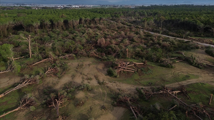 Antalya'da hortumun zarar verdiği ormanlık alan havadan görüntülendi 