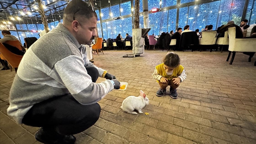 Kedinin ağzından kurtarılan tavşan "Tombiş" kafenin maskotu oldu