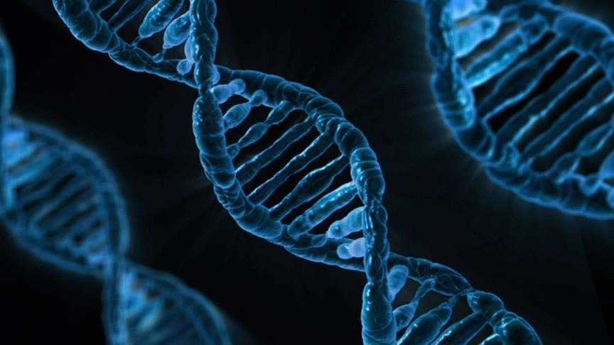 Yapay zeka modeli "AlphaGenome" yardımıyla DNA'nın bilinmeyenlerinin keşfedilmesi öngörülüyor 