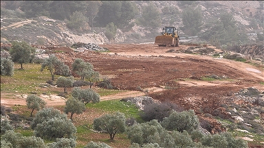 "يقتلعون طفولتنا مع الزيتون".. إسرائيل تجرّف ببلدة كفر مالك 