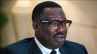 Nigeria-Türkiye trade expected to top $10B after new agreements: Business council chair