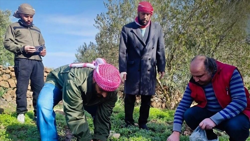 سوريا.. طيران إسرائيلي يرش "مواد مجهولة" على أراض زراعية بالقنيطرة