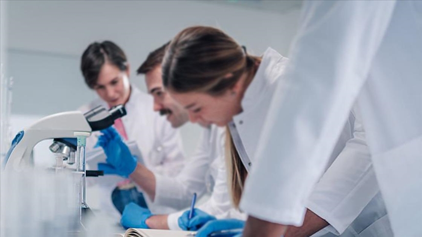 İspanya'da araştırmacılar farelerde pankreas kanserini tedavi etti