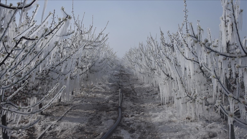 Zirai don riskine karşı arazi ve bölgeye göre üretim yapılmalı