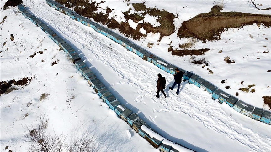 Depremden etkilenen Elazığ'da arıcı ve besiciler yaralarını devlet desteğiyle sardı 
