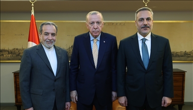 اردوغان و عراقچی در استانبول دیدار کردند