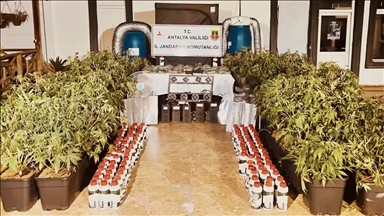 Jandarma, son iki haftadaki operasyonlarında 6 milyon uyuşturucu hap ile 270 kilogram uyuşturucu ele geçirdi