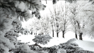 Erzurum, Ardahan ile Kars'ta sis ve soğuk hava etkili oluyor