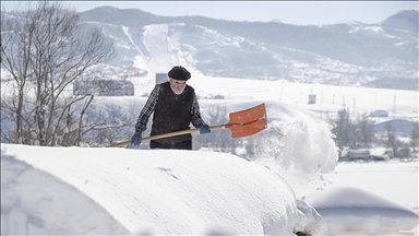 Tunceli'de köylüler damlarda kar atma ve "loğ" çekme mesaisinde