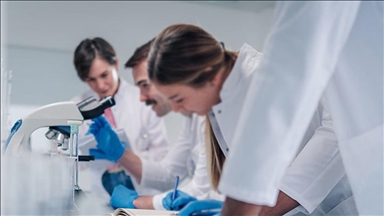 İspanya'da araştırmacılar farelerde pankreas kanserini tedavi etti