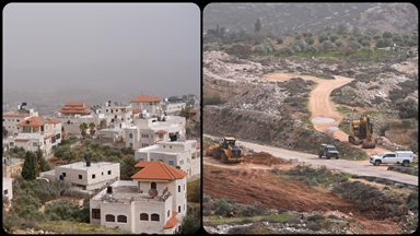 İsrail Batı Şeria'da zeytin ağaçlarıyla birlikte Filistinlilerin kültürel hafızasını da yok ediyor