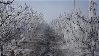 Zirai don riskine karşı arazi ve bölgeye göre üretim yapılmalı