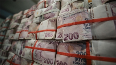 Hazine'nin 2025 yılı vergi dışı normal gelirleri 80,9 milyar lira oldu