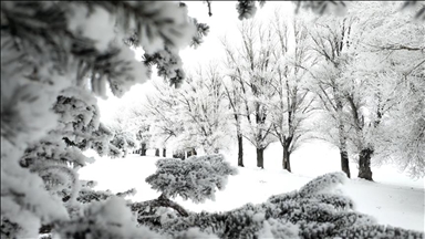 سەرماوسۆڵە باڵی بەسەر پارێزگاکانی ئەرزەڕۆم، ئەردەخان و قەرسدا کێشاوە