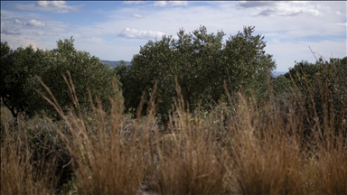 Vineyard Wind allowed construction in latest court ruling, as Trump administration's pause overturned again