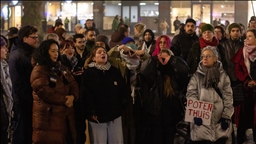 Protest held in the Netherlands over police violence against 2 Muslim women