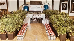 Jandarma, son iki haftadaki operasyonlarında 6 milyon uyuşturucu hap ile 270 kilogram uyuşturucu ele geçirdi