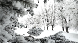 سەرماوسۆڵە باڵی بەسەر پارێزگاکانی ئەرزەڕۆم، ئەردەخان و قەرسدا کێشاوە