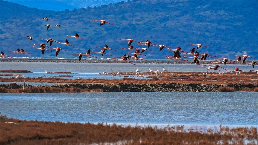 Kuraklık, Gediz Deltası'nda kirliliğin etkisini artırıyor