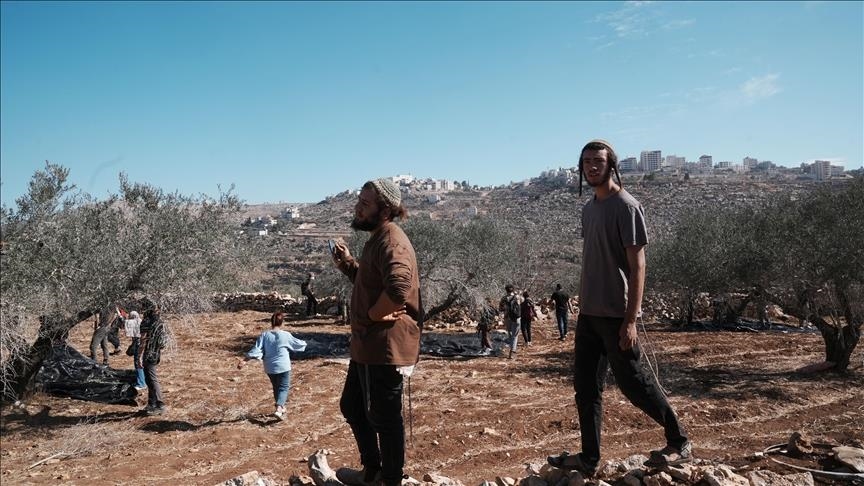 الضفة.. اعتقال 3 فلسطينيين وإتلاف محاصيل باعتداءات إسرائيلية متفرقة