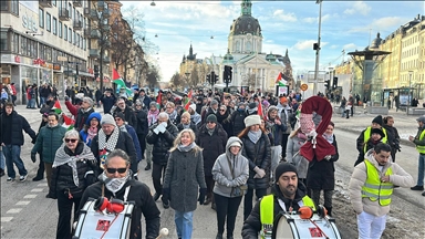 В Швеции прошли протесты против атак Израиля на Газу и ограничения доступа гуманитарной помощи