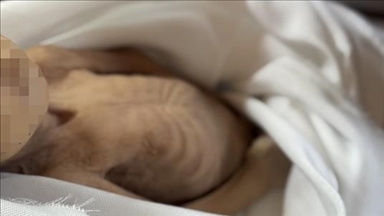 مسؤول صحي بغزة: تراجع المواليد بنسبة 11 بالمئة خلال 2025 جراء الإبادة