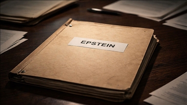 Robert Koleji yönetim kurulu üyesi, Epstein'den bağış toplamak için yardım istemiş