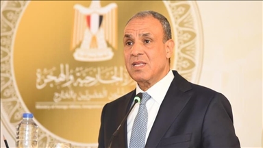 لمدة شهر.. مصر تترأس مجلس السلم والأمن الإفريقي مطلع فبراير