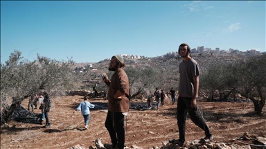 الضفة.. اعتقال 3 فلسطينيين وإتلاف محاصيل باعتداءات إسرائيلية متفرقة