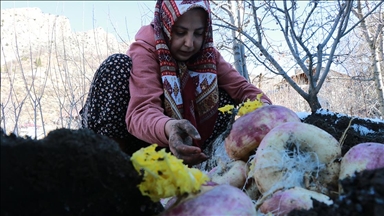 Sebzelerin tazeliğini toprak altında saklayarak koruyorlar 