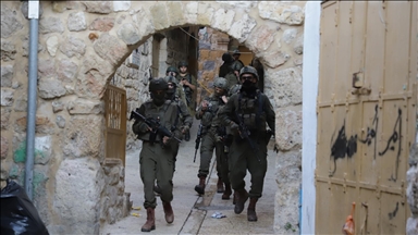 Israeli army, illegal settlers cut hundreds of trees, steal livestock in occupied West Bank