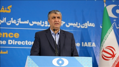 Iranian nuclear agency chief says country can defend itself even without nuclear weapons