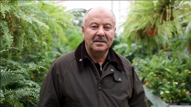 Yerli üretim hazır çim, ithalatı bitirerek maliyetlerin düşmesine katkı sağlıyor