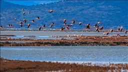Kuraklık, Gediz Deltası'nda kirliliğin etkisini artırıyor