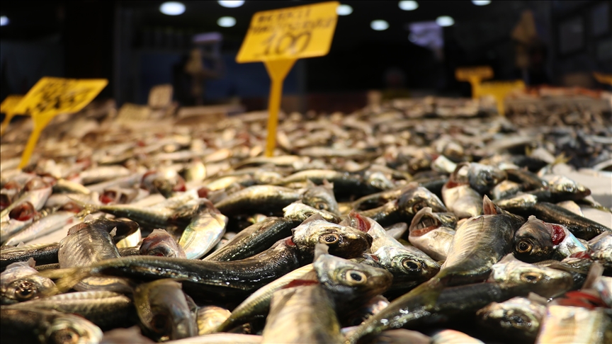 Trabzon'da balıkçı tezgahlarında istavrit ilgi görüyor