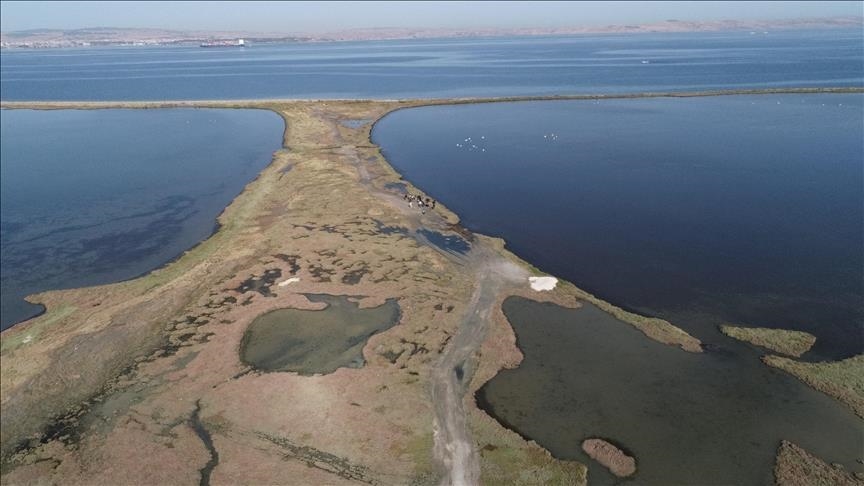 Потери водно-болотных угодий в мире угрожают глобальной экономике