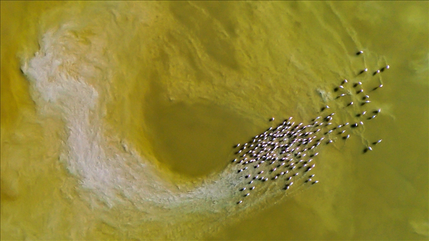 دلتا "بويوك مندريس".. موطن للتنوع البيولوجي غربي تركيا