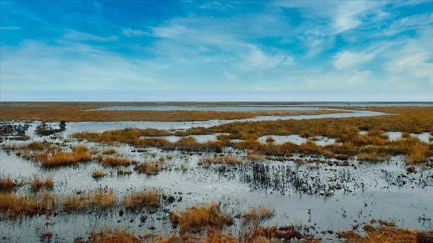 Sulak alanların korunması, HES'lerin sürdürülebilirliği için önem taşıyor