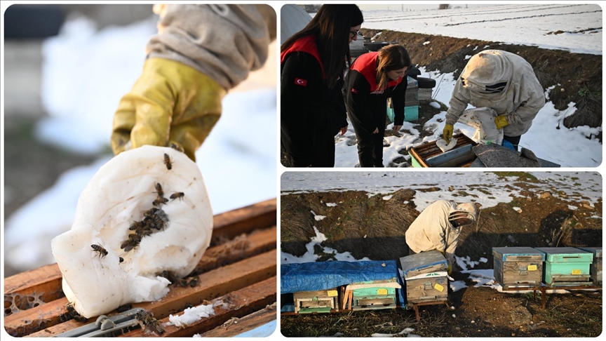 Depremde arılarını kaybeden arıcı, devlet desteğiyle üretimini sürdürdü