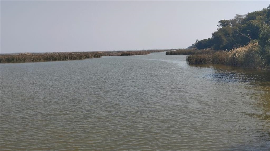 World Wetlands Day: Pakistan’s first man-made lake faces ecological crisis