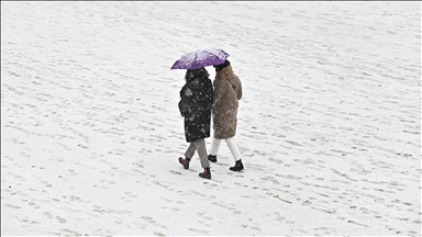 France / Neige et vents violents : écoles fermées et transports perturbés à Saint-Pierre-et-Miquelon