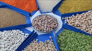 Tarım, gıda ve içecek sektöründen 2025'te 27,79 milyar dolarlık ihracat