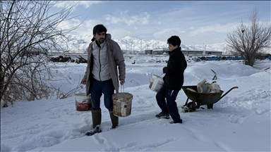 Erzincanlı çiftçi, karlı araziye keklikler için yem taşıyor
