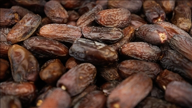 France : des dattes Medjool retirées d’un supermarché pour absence d’étiquetage des colonies