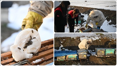 Depremde arılarını kaybeden arıcı, devlet desteğiyle üretimini sürdürdü