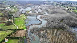 Acarlar Longozu değişken su seviyesine uyum sağlayan bitkilere ve hayvanlara yuva oluyor